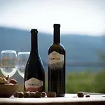 Montecolori Brkac